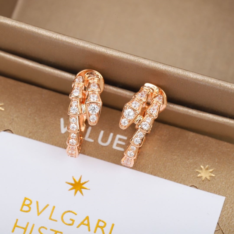 Bottega VENENTA Earrings